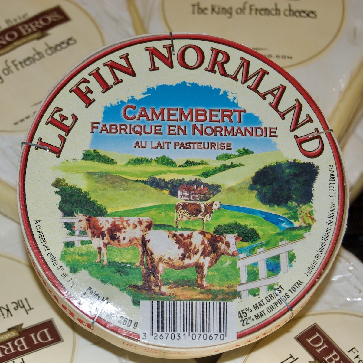 Camembert Cheese