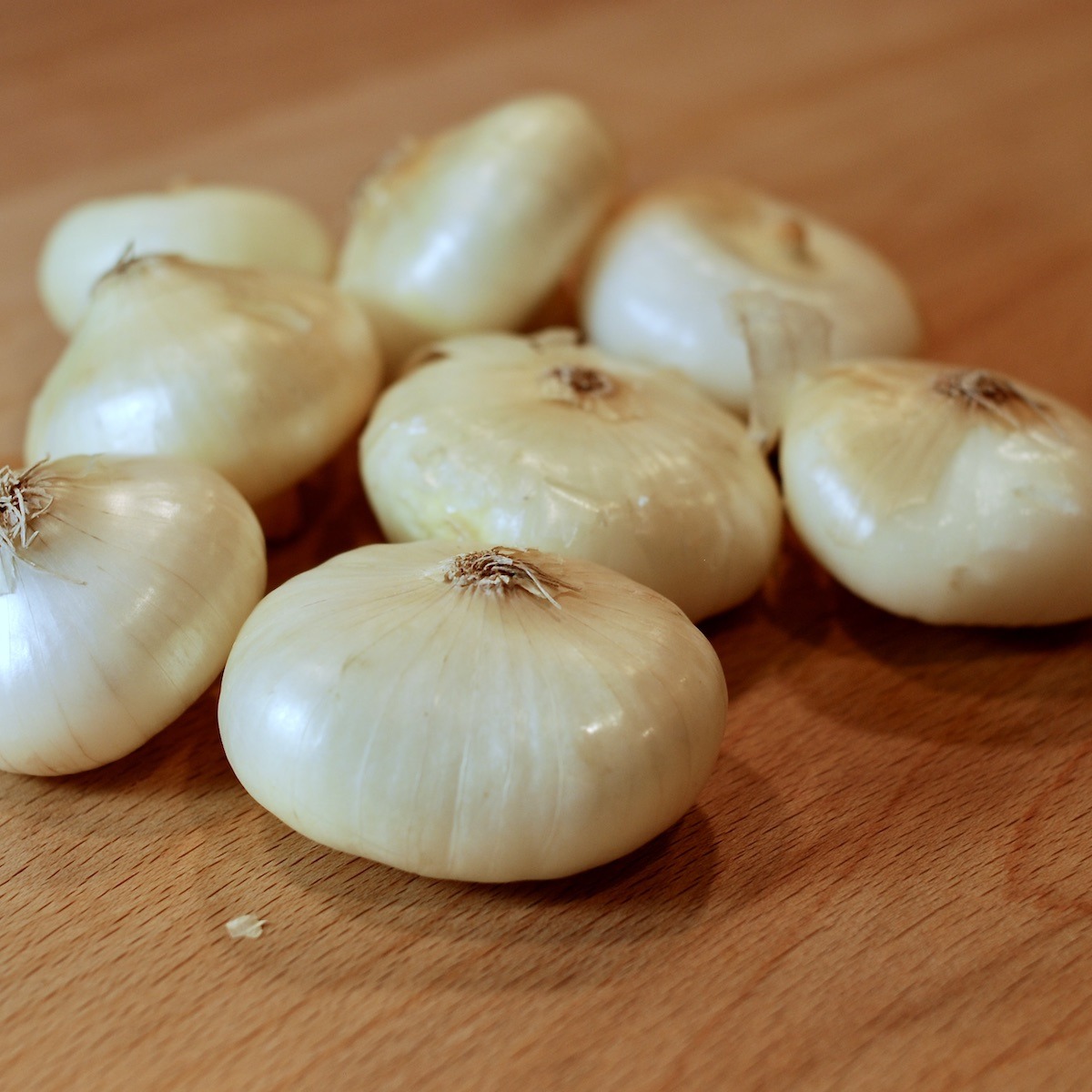 Cipollini Onions