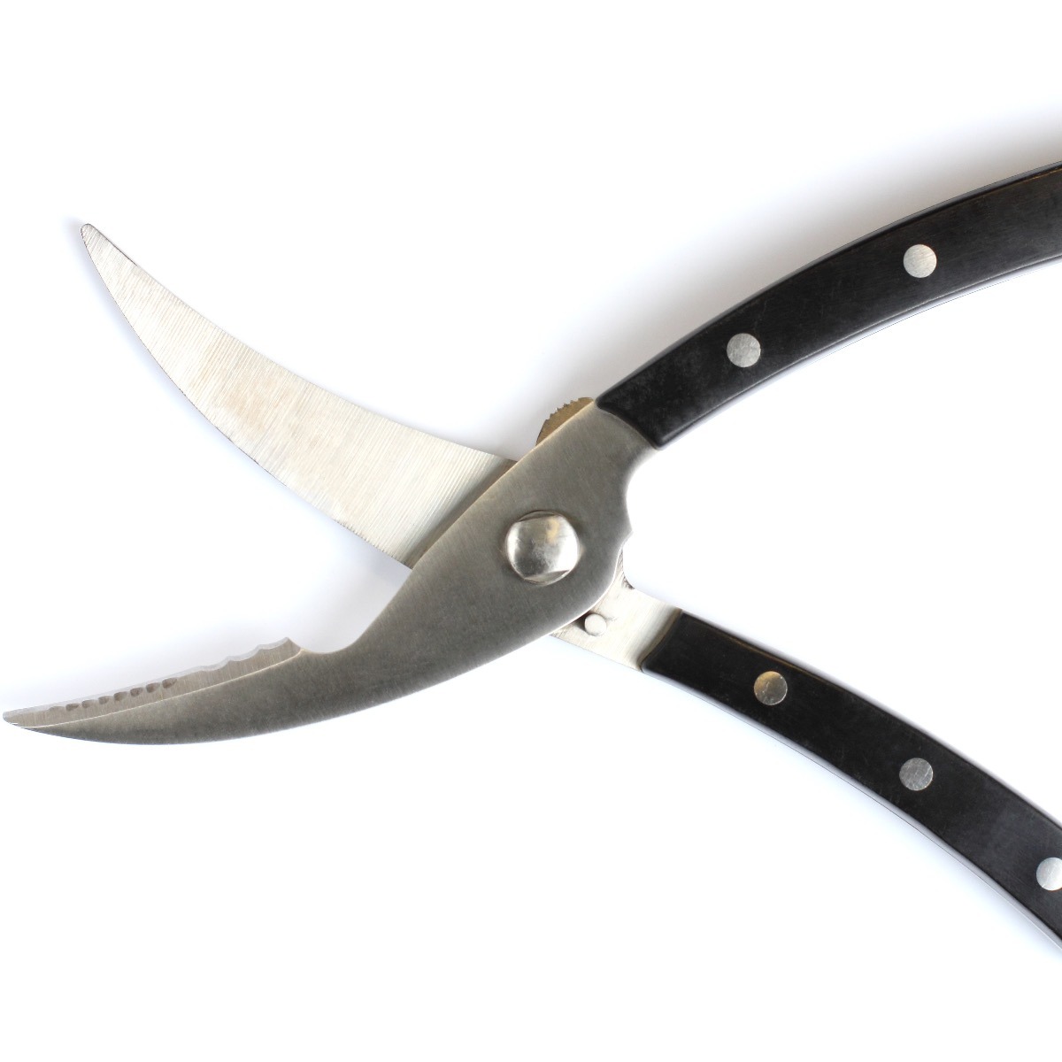 Kitchen Shears