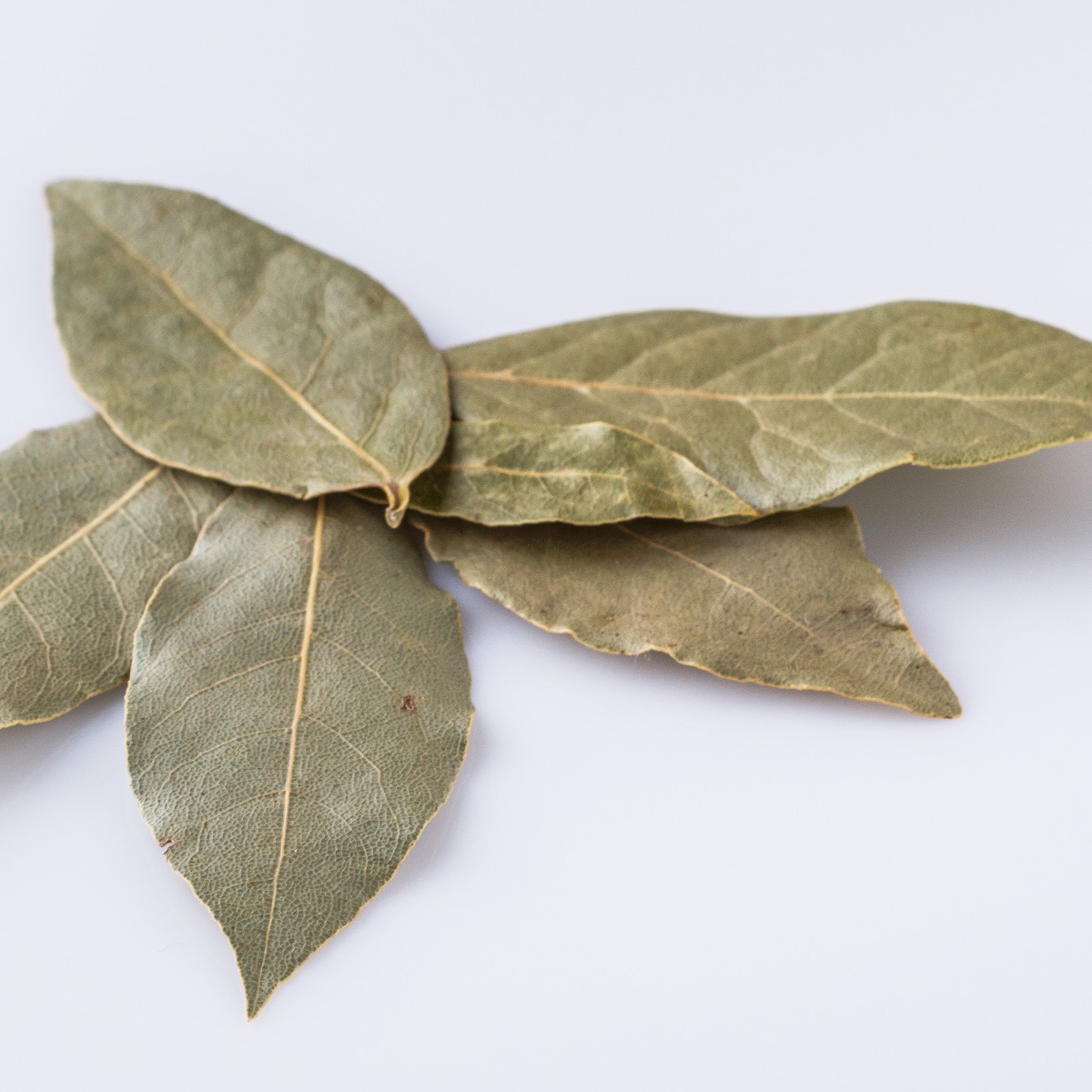 Dried Bay Leaves