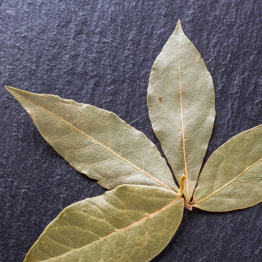 Bay Leaves