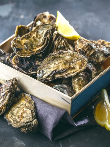 All About Oysters