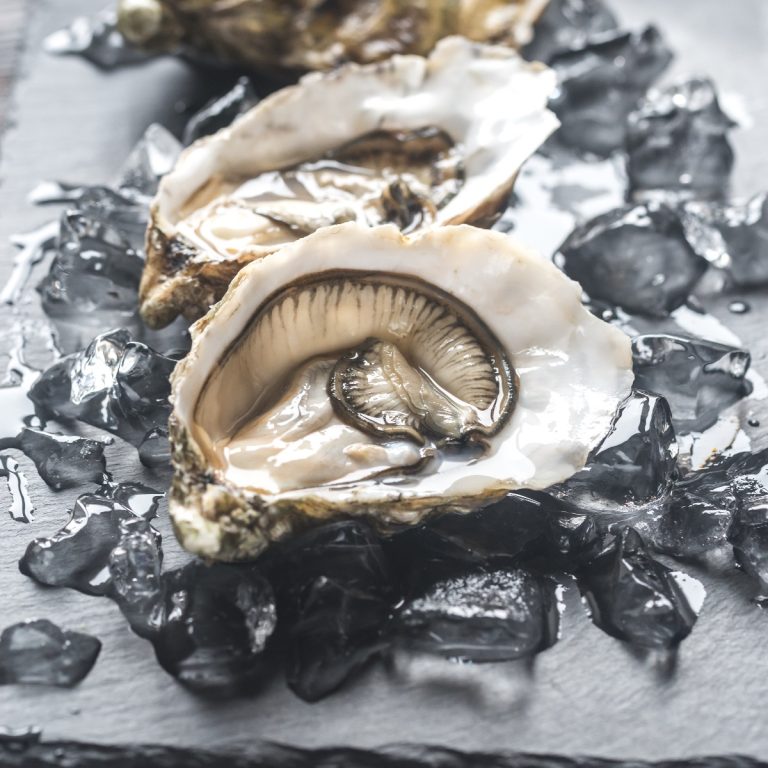 Raw Oysters