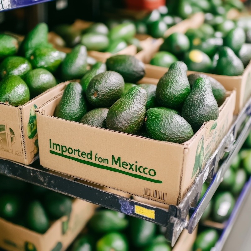 Imported Avocados