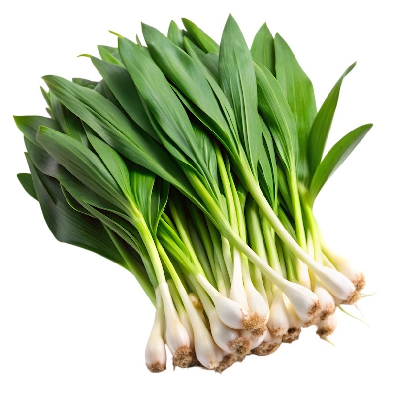 All About Ramps