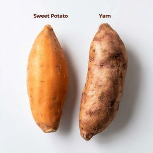 What's the difference between a sweet potato and a yam