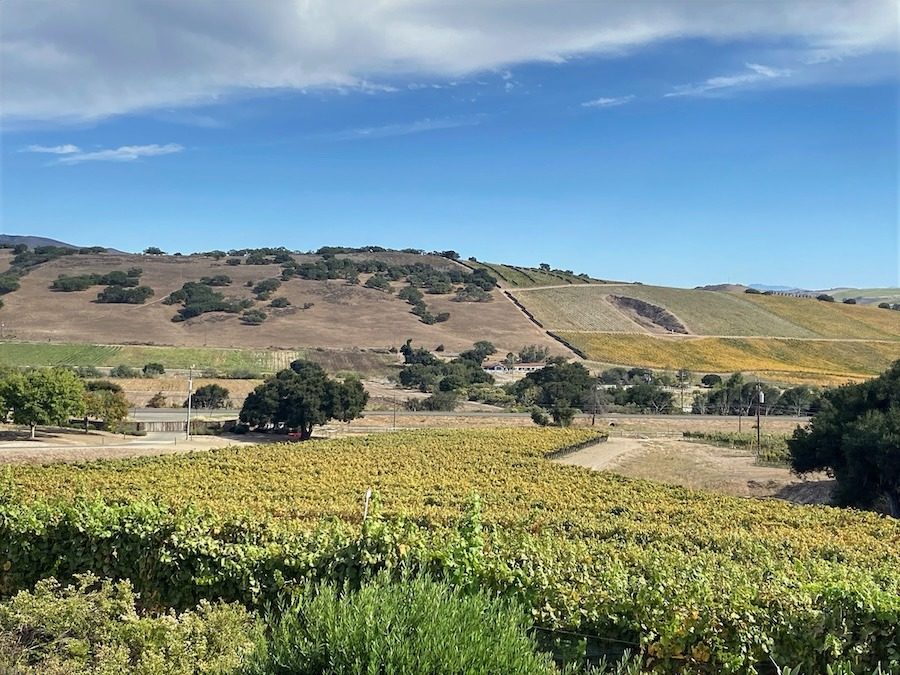 Santa Barbara County wine country